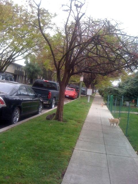 IMG 1700