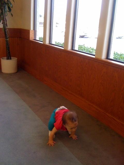 IMG 1764