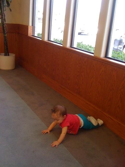 IMG 1765