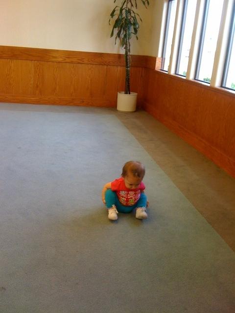 IMG 1773