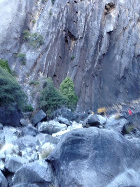 1-IMG 0364