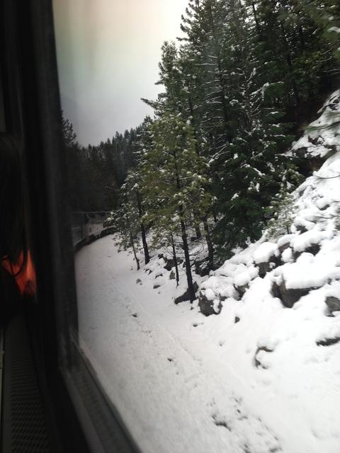 1-IMG 0808