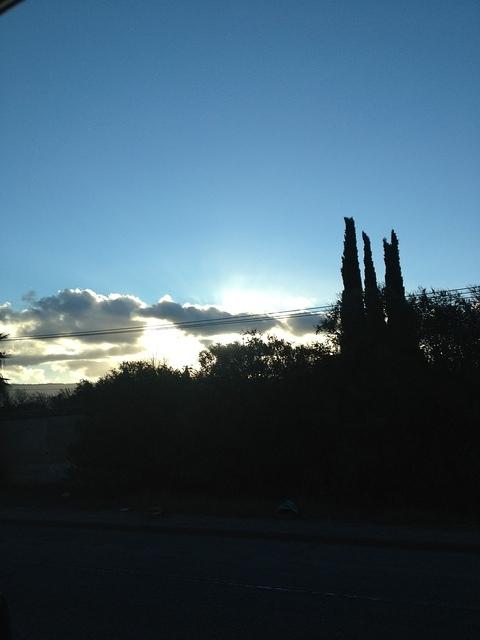 1-IMG 0960