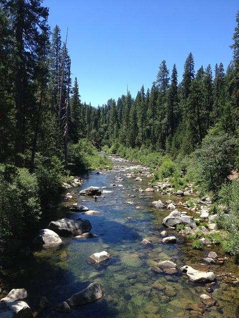2-IMG 0644