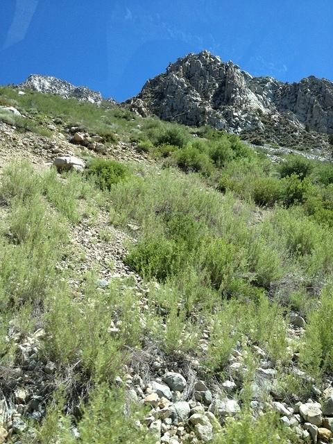 3-IMG 0684