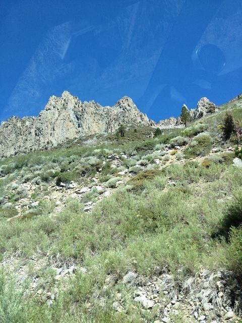 3-IMG 0685