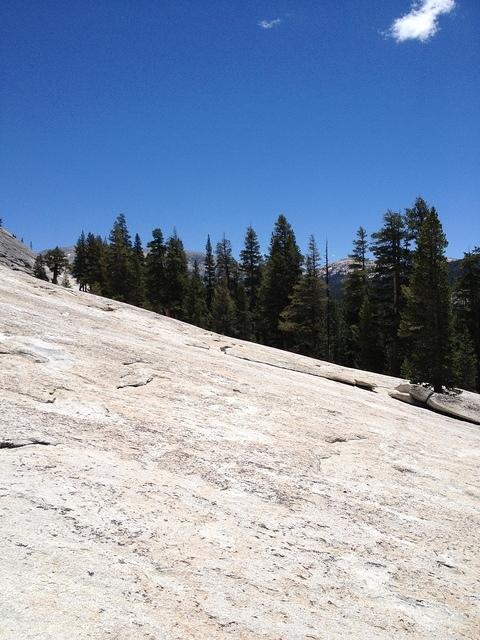 3-IMG 0719