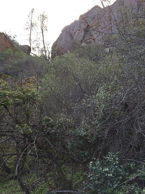 1-IMG 2691