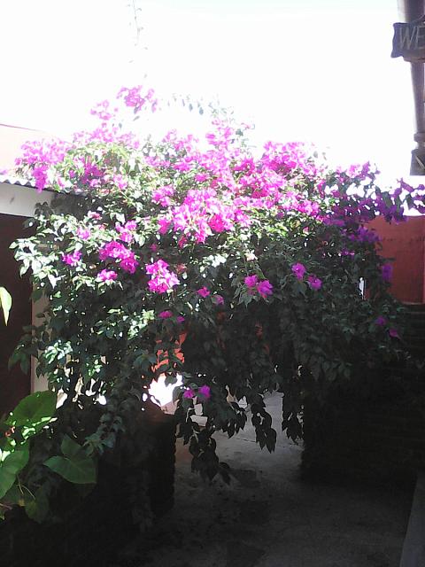 IMG 20160905 153635