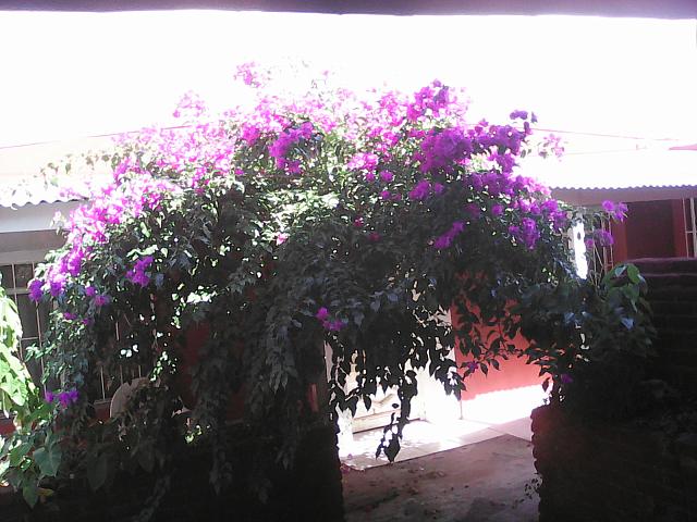IMG 20160905 153702