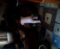 VID 20120311 182911