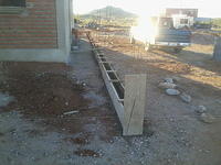 Foto0341