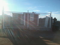 Foto0376