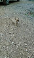 IMG 3580