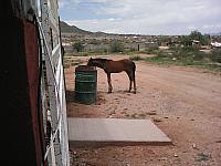 IMG 20160709 140929