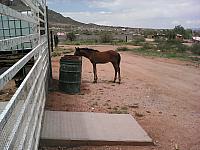 IMG 20160709 140933