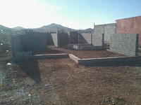 Foto0478