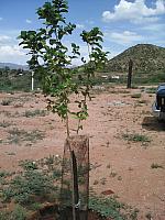 IMG 20160719 151633