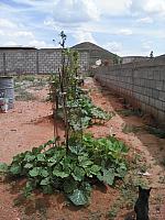 IMG 20160719 151639