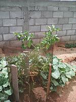 IMG 20160719 151707