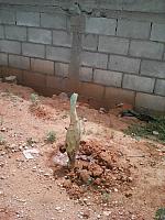 IMG 20160719 151712