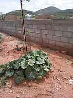 IMG 20160719 151716
