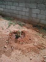 IMG 20160719 151724