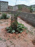 IMG 20160719 151746