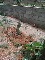 IMG 20160719 151753