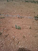 IMG 20160719 151904