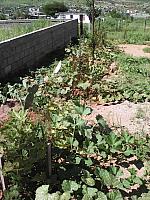 IMG 20160905 151204