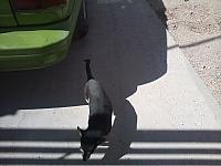 CAM01947