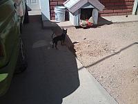 CAM01949