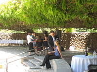 IMG 3367
