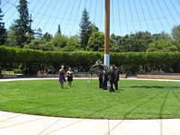 IMG 3420