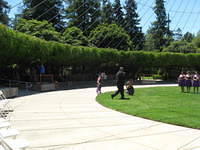 IMG 3427
