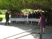 IMG 3529