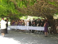 IMG 3530