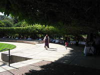 IMG 3535