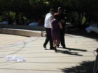 IMG 3556