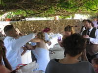 IMG 3560