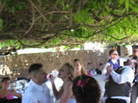 IMG 3561