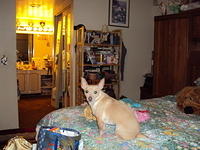 DSC00356
