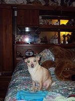 DSC00358