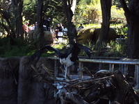 DSC00377