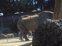 DSC00433