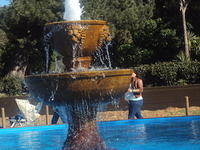 DSC00460