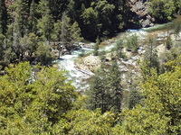 DSC00536