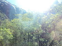 DSC00544