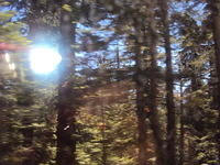 DSC00557